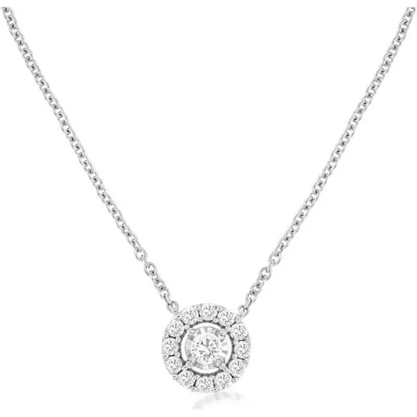  Les Olson Jewelers Palm Harbor, FL