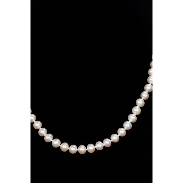 Strand Image 2 Les Olson Jewelers Palm Harbor, FL