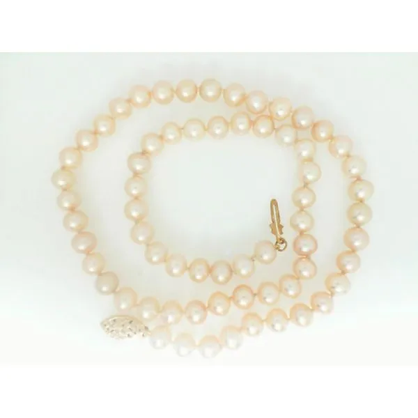 Strand Les Olson Jewelers Palm Harbor, FL