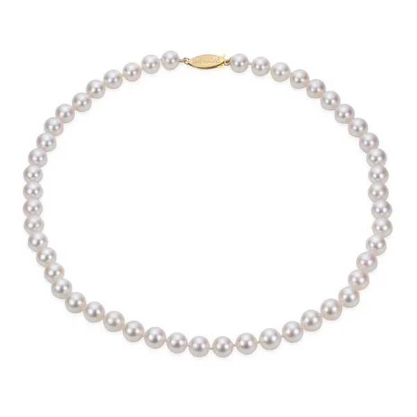 Strand Les Olson Jewelers Palm Harbor, FL