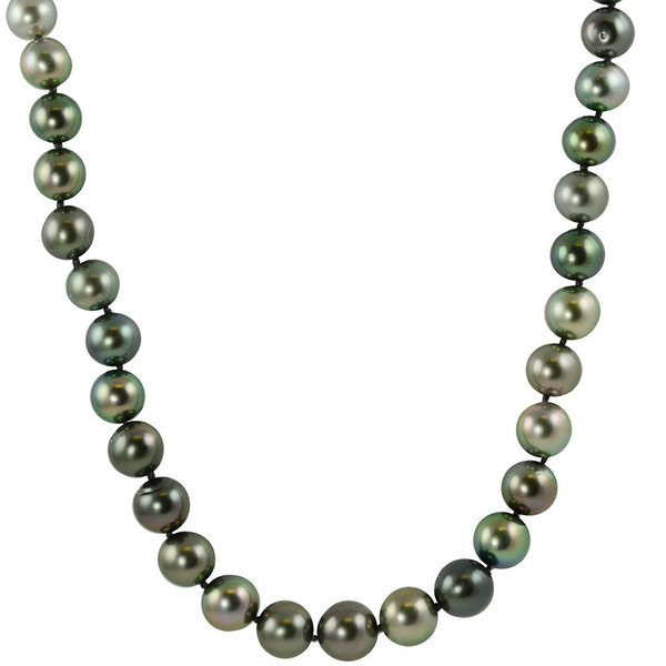 Strand Les Olson Jewelers Palm Harbor, FL