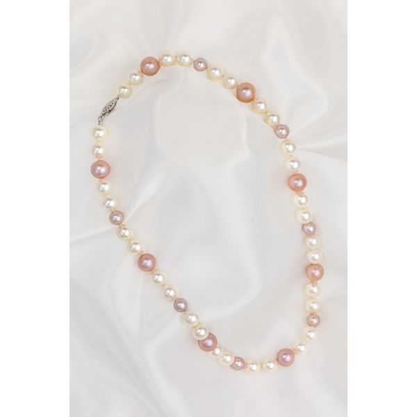 Strand Les Olson Jewelers Palm Harbor, FL