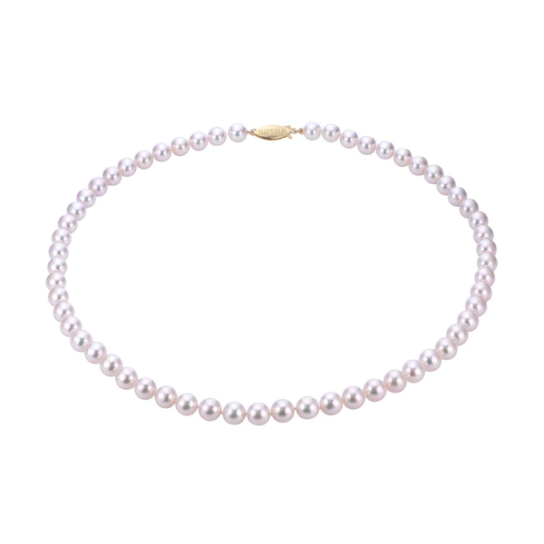 Strand Les Olson Jewelers Palm Harbor, FL