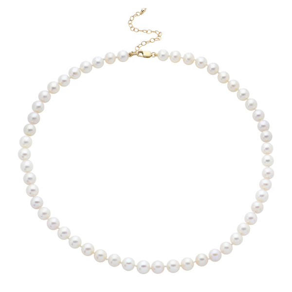 Strand Les Olson Jewelers Palm Harbor, FL