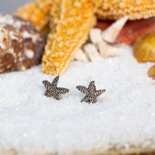  Image 2 Les Olson Jewelers Palm Harbor, FL