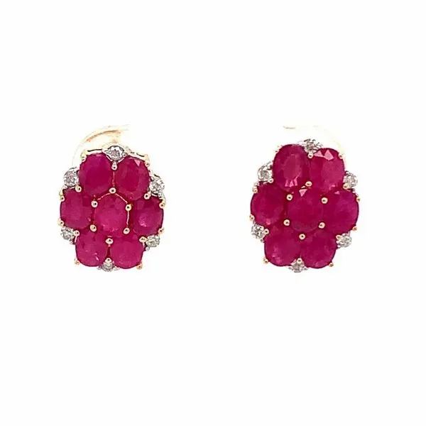 Precious Color Earrings Lester Martin Dresher, PA