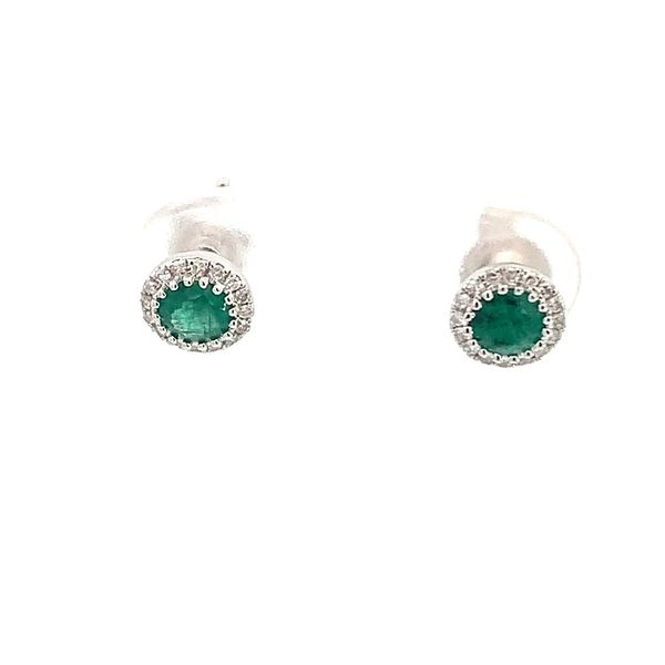 Precious Color Earrings Lester Martin Dresher, PA