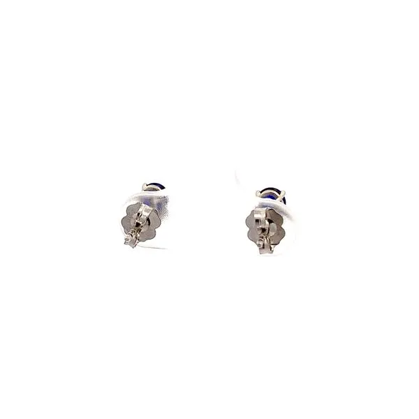 Precious Color Earrings Image 4 Lester Martin Dresher, PA