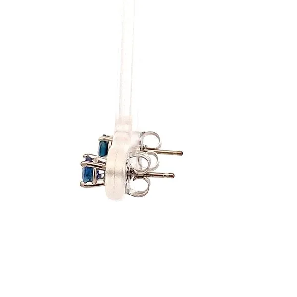 Precious Color Earrings Image 2 Lester Martin Dresher, PA