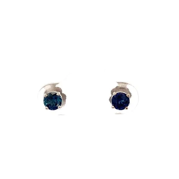 Precious Color Earrings similar item image