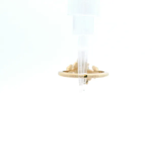 Gemstone Fashion Ring