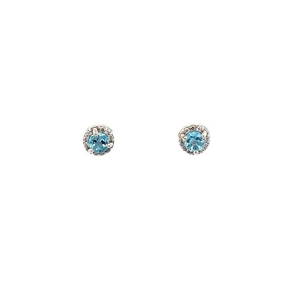 Gemstone Earrings Lester Martin Dresher, PA