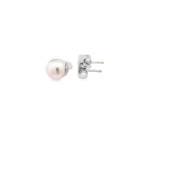 14K 6-6.5MM AKOYA PEARL EARRINGS SET IN 14K WHITE GOLD Image 2 Lester Martin Dresher, PA