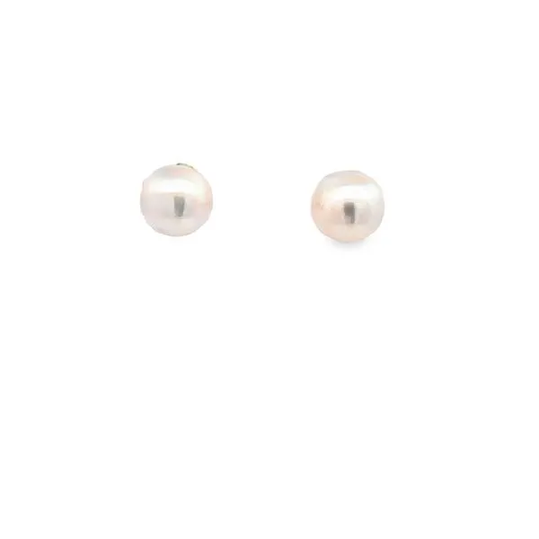 14K 7-7.5MM AKOYA PEARL EARRINGS SET IN 14K WHITE GOLD