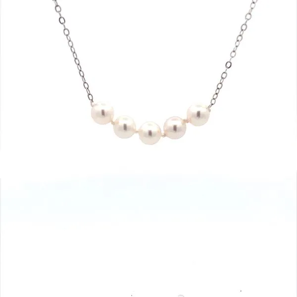 Pearl Strand Lester Martin Dresher, PA