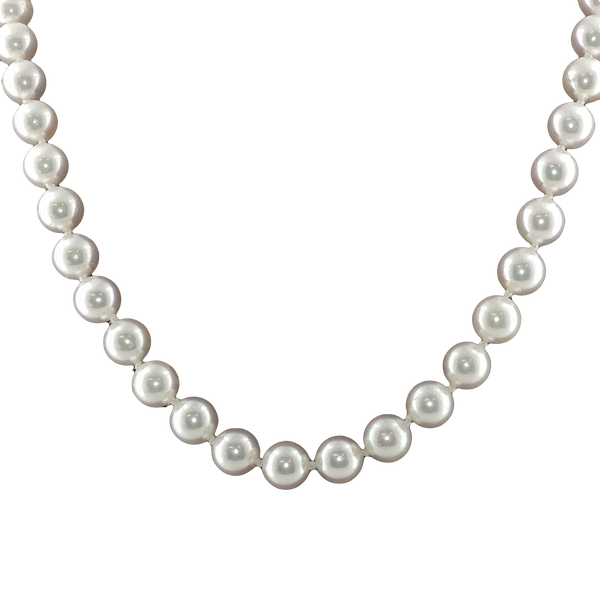 Pearl Strand Image 2 Lester Martin Dresher, PA