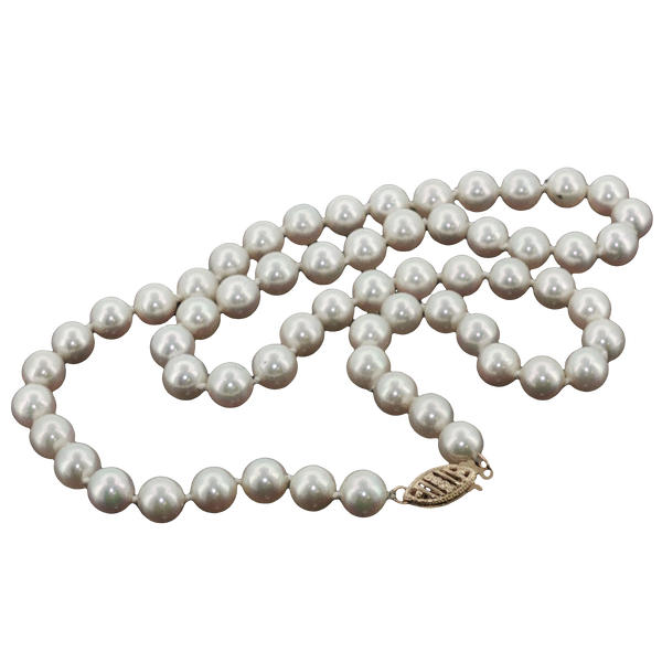 Pearl Strand Lester Martin Dresher, PA