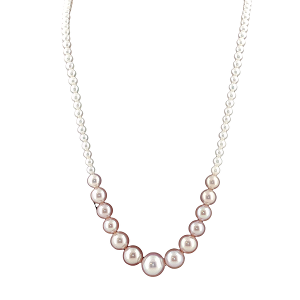 Pearl Strand Lester Martin Dresher, PA