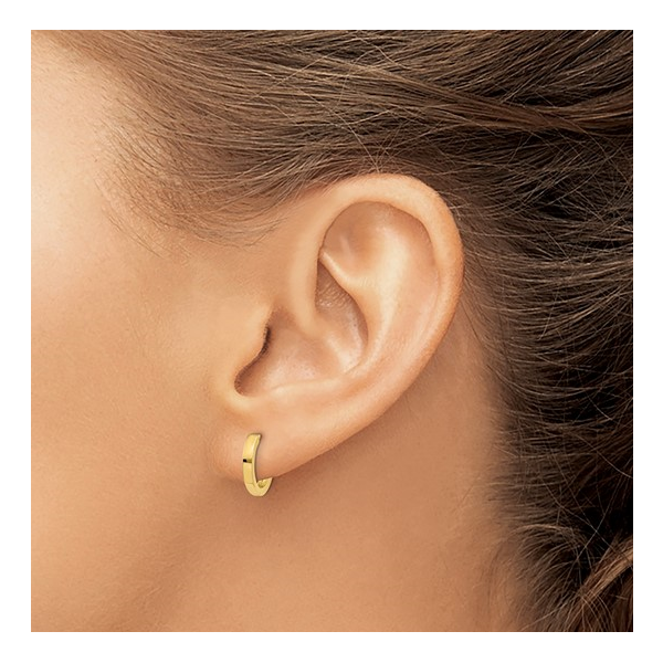 Small Gold Hoop Earrings - Tia Mini | Ana Luisa | Online Jewelry Store At  Prices You'll Love