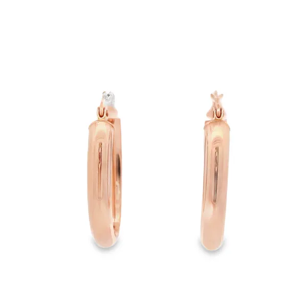 Gold Earrings Lester Martin Dresher, PA