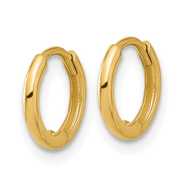 Gold Earrings Lester Martin Dresher, PA