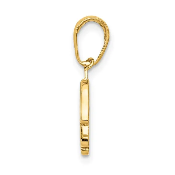 Gold Pendant/Charms