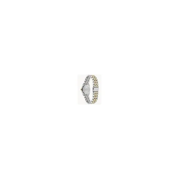 LADIES CORSO CITIZEN ECO-DRIVE WATCH Image 2 Lester Martin Dresher, PA