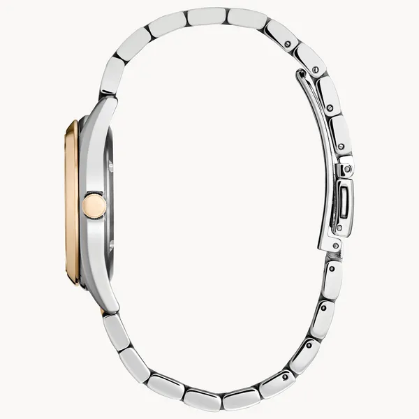 CITIZEN TWO-TONE STAINLESS STEEL ECO-DRIVE WATCH Image 2 Lester Martin Dresher, PA