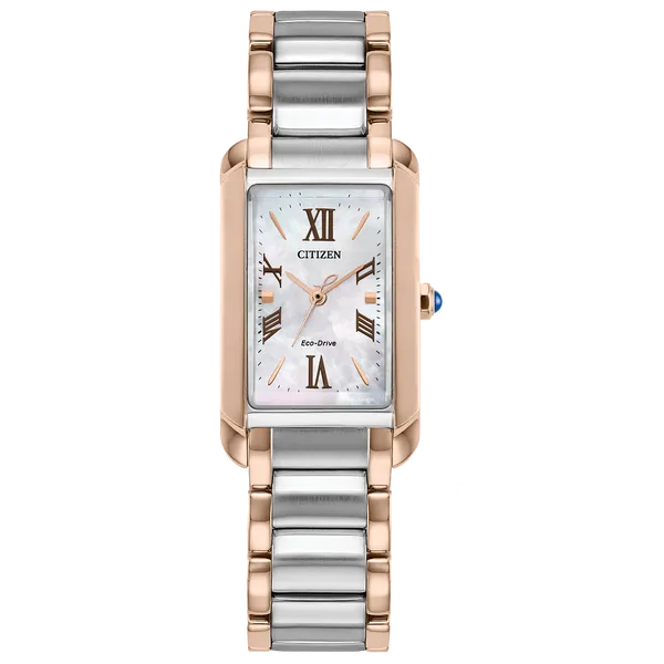 LADIES BIANCA 32.5MM CITIZEN ECO-DRIVE TWO-TONE STAINLESS STEEL WATCH Lester Martin Dresher, PA