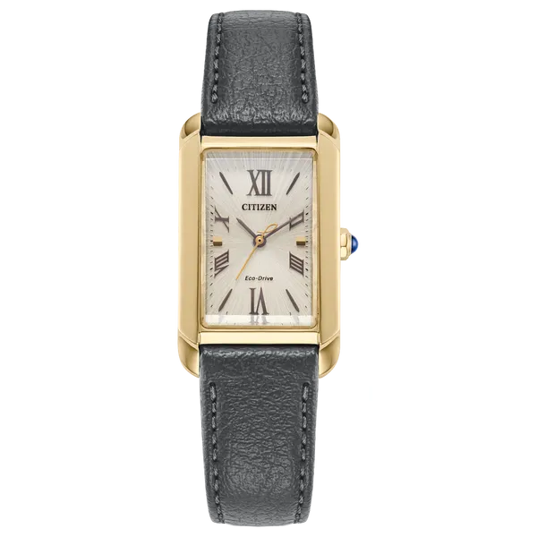 LADIES BIANCA 32.5MM CITIZEN ECO-DRIVE TWO-TONE STAINLESS STEEL WATCH Lester Martin Dresher, PA