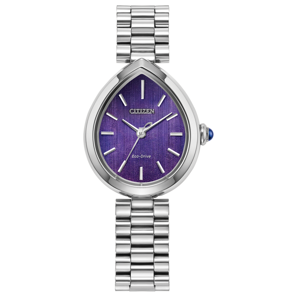 CITIZEN L RAINELL ECO-DRIVE WATCH Lester Martin Dresher, PA