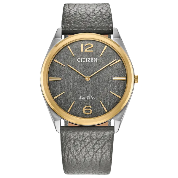 CITIZEN SURATTO WATCH Lester Martin Dresher, PA