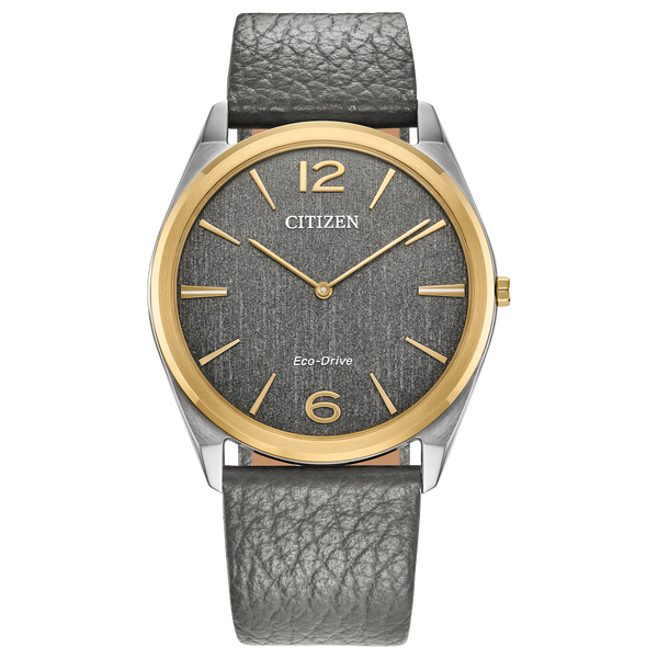 CITIZEN SURATTO WATCH Lester Martin Dresher, PA