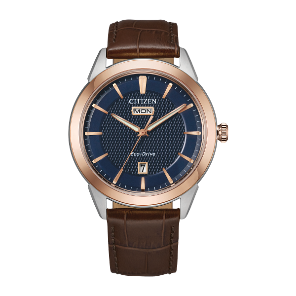 GENTS ROLAN CITIZEN ECO-DRIVE 40MM WATCH Lester Martin Dresher, PA