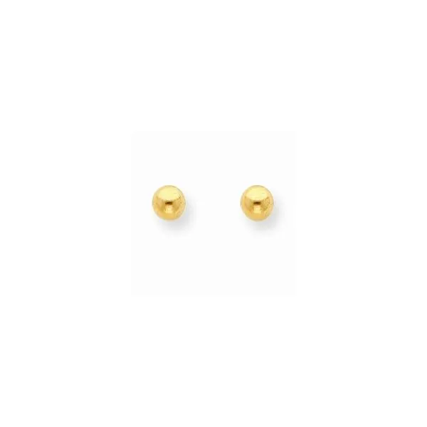 Silver Earrings Lester Martin Dresher, PA