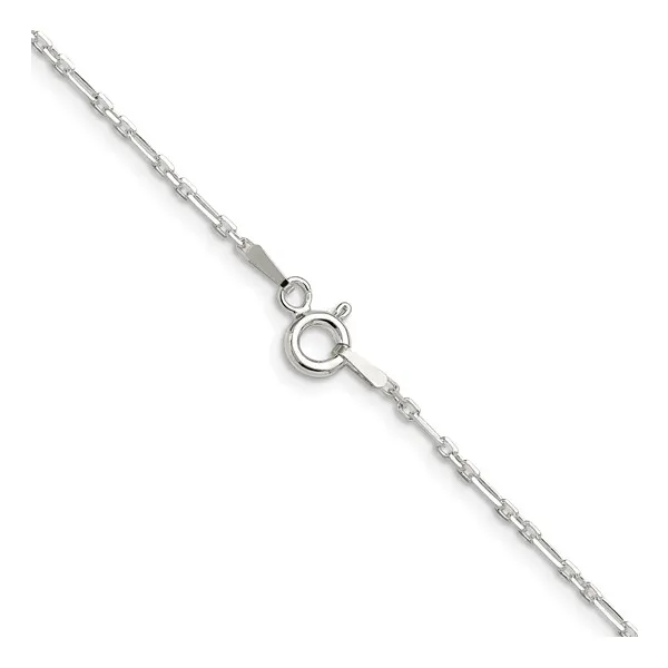 Silver Chain Image 2 Lester Martin Dresher, PA