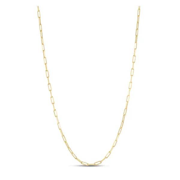 Silver Chain Lester Martin Dresher, PA