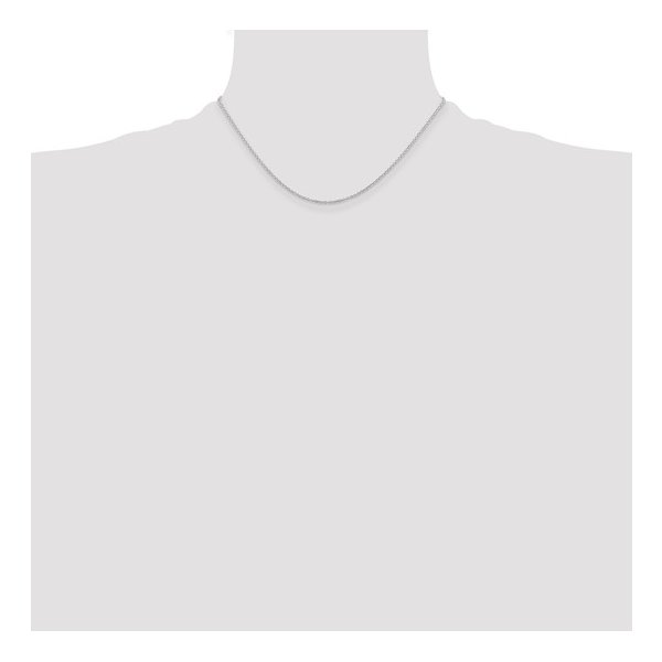 Silver Chain Image 3 Lester Martin Dresher, PA