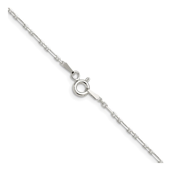 Silver Chain Image 2 Lester Martin Dresher, PA
