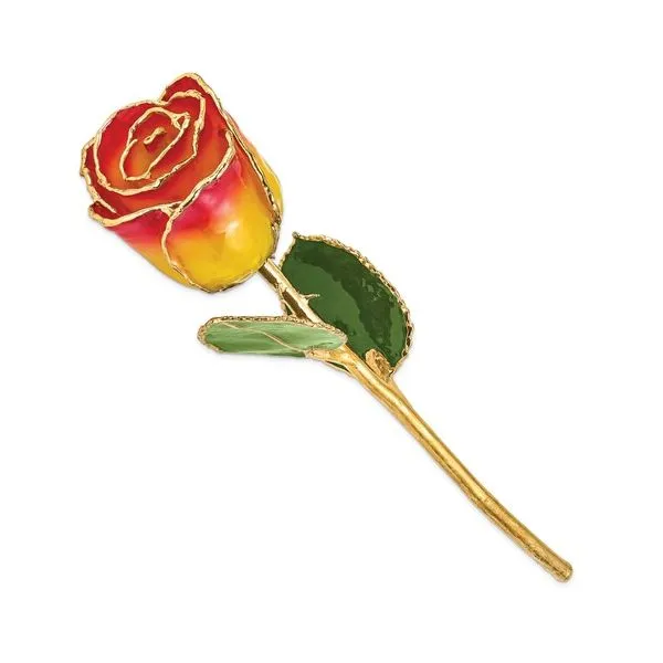 YELLOW RED GOLD TRIM ROSE Image 2 Lester Martin Dresher, PA