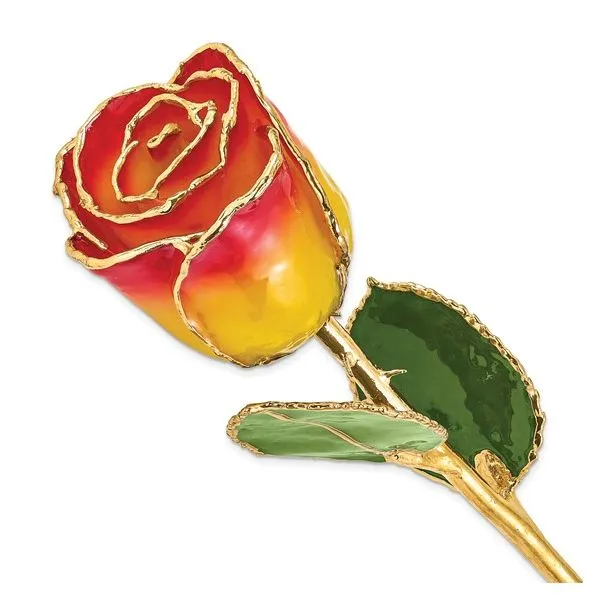 YELLOW RED GOLD TRIM ROSE Lester Martin Dresher, PA