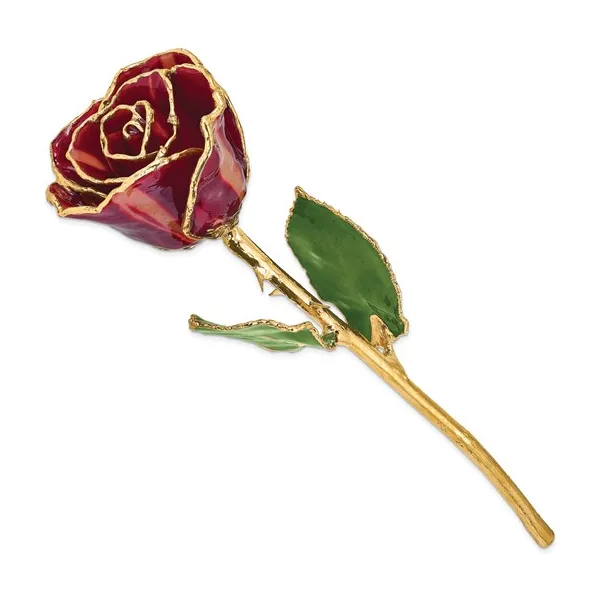 ABRACADABRA GOLD TRIM  ROSE