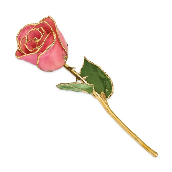 Gold Dipped Rose