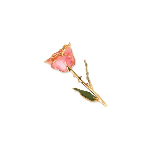 Gold Dipped Rose