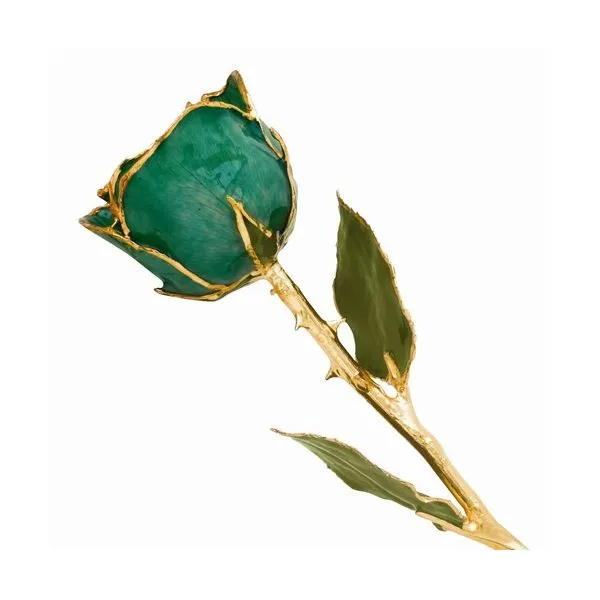 GREEN GOLD TRIM ROSE