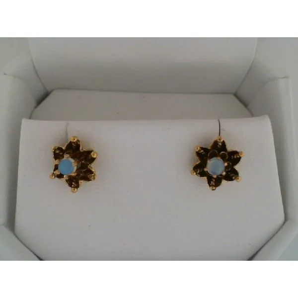 Earrings Lewisburg Diamond & Gold Lewisburg, WV
