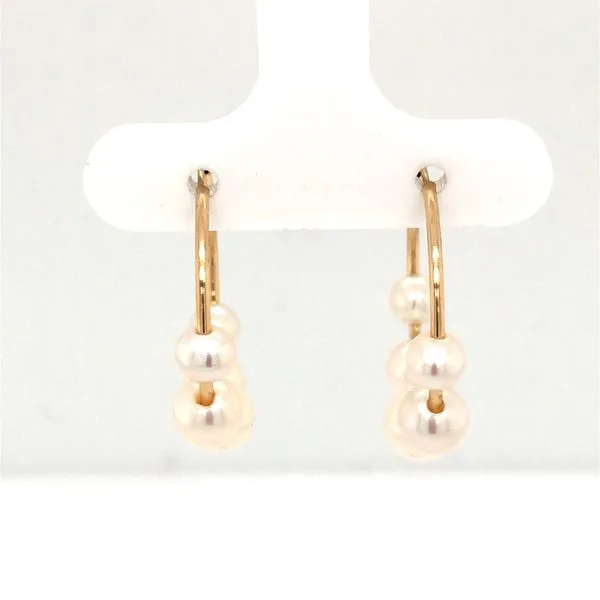 001-310-00310 Lake Oswego Jewelers Lake Oswego, OR