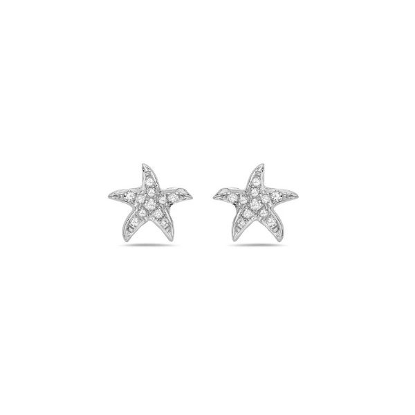Shula Diamond Starfish Studs- 14k White Gold Lumina Gem Wilmington, NC