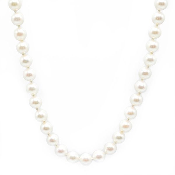 6.5mm Pearl Strand with Yellow Gold Clasp - 18.5
