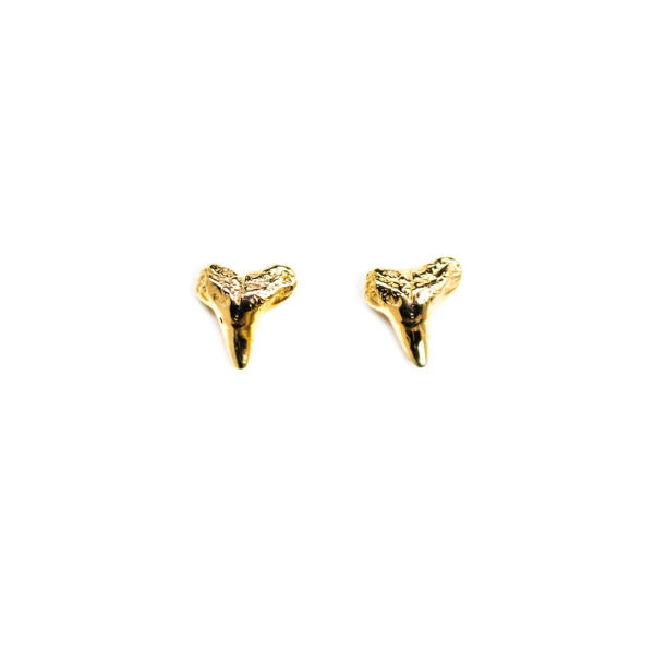 Shelton Metal Sharks Teeth Studs - Yellow Gold Lumina Gem Wilmington, NC